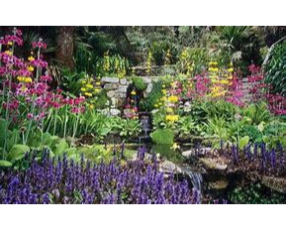 Trelawne Garden Annexe Vakantiehuis *